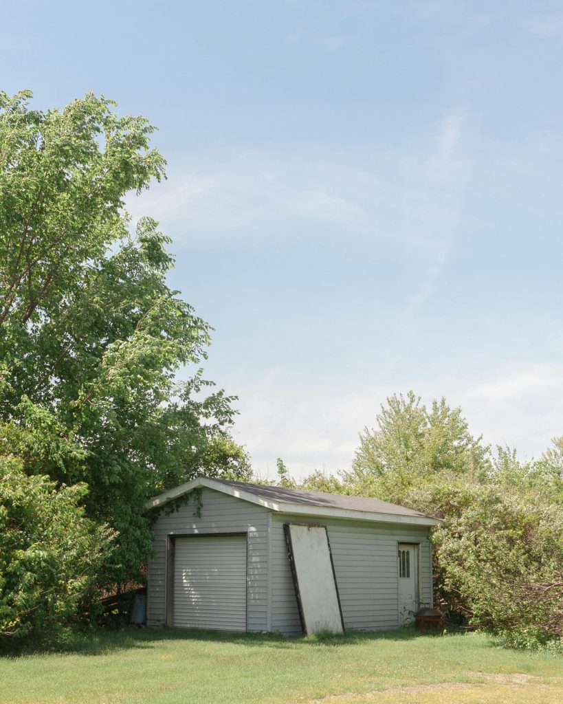 Een groen dak op de schuur